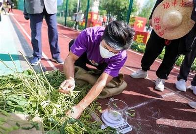 农村缺乏体育器材，农民健康需关注，农村体育设施