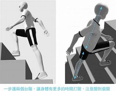 《常见爬梯体育器材及其名称解析》，体育设施爬梯